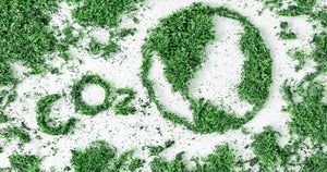 Understanding CO2 Extraction Equipment