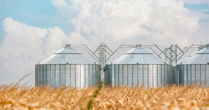Ethanol Extraction Systems for Small- And Large-Scale Cannabis Processing