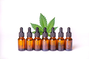 Understanding the terpene extraction process