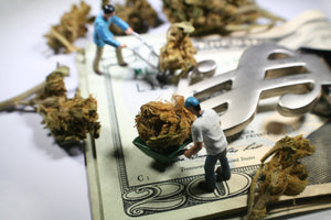 Money Cannabis Work