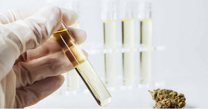 The cannabis filtration process