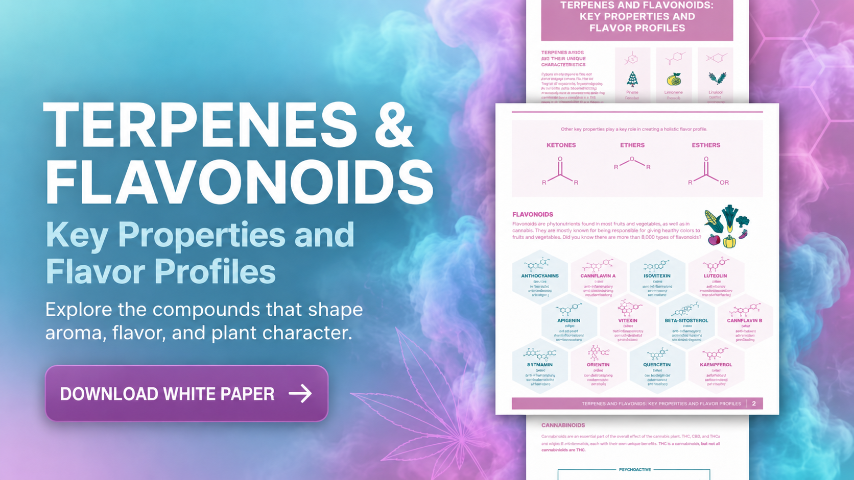 White Papers