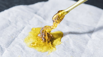 How cannabis wax is made