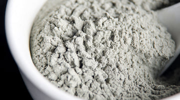 Bentonite clay vs activated carbon
