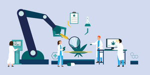 From Lab to Product: The Journey of High-Quality Cannabis Extracts