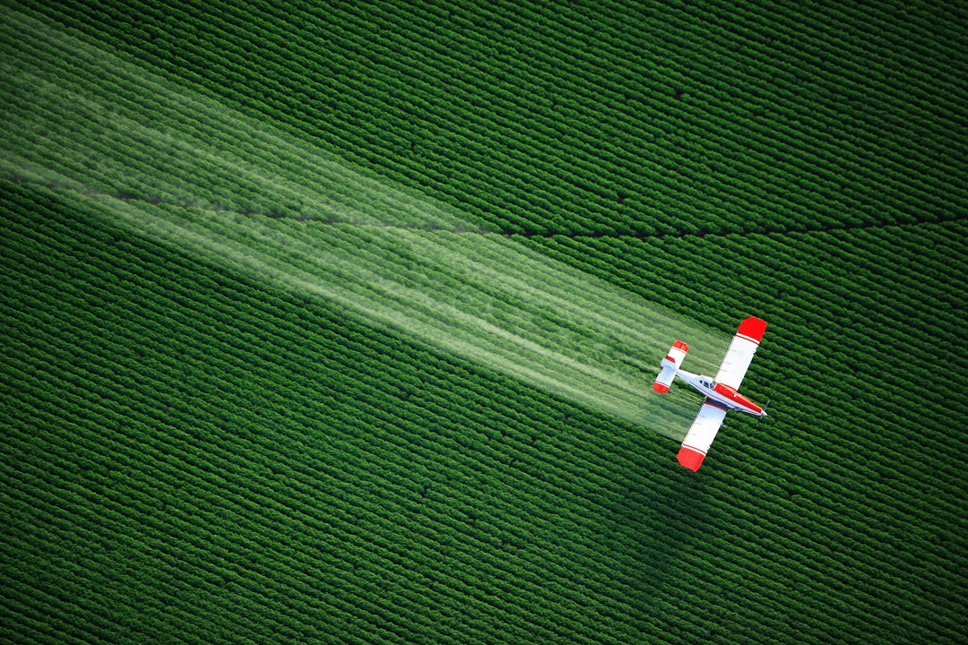Breaking Down Pesticides: What Works, What Doesn’t, and Our Rec's ...