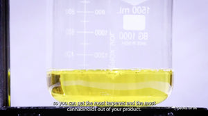 Beaker partially filled with extracted oil that looks very pure and clean. 