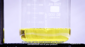 Beaker partially filled with extracted oil that looks very pure and clean. 